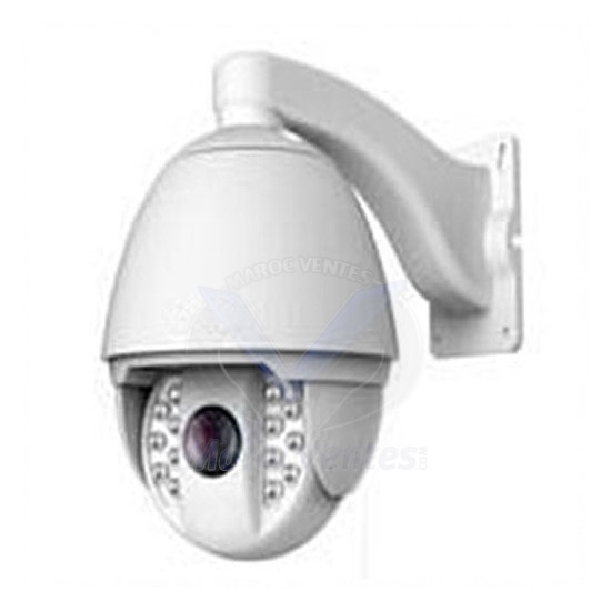 CAMÉRA  PTZ  1/3" Sony ExView HAD 650TVL QH-NP7174FA-A-Q27-1