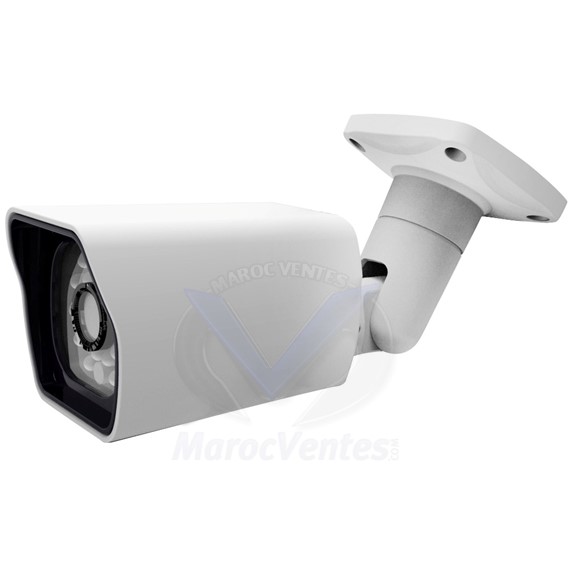 IP Camera 1.3 megapixel, 1/3” progressive scan CMOS; dual-core 32-bit with PoE SE-NA134VH