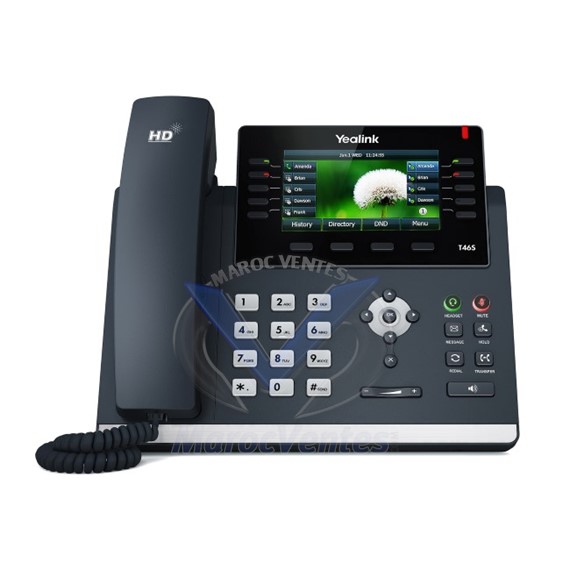 Téléphone IP 10 touches programmables écran LCD couleurs SIP-T46S