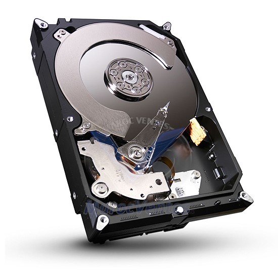 Disque dur 3.5" 3 To 7200 RPM 64 Mo Serial ATA 6 Gb/s (bulk) ST3000DM001
