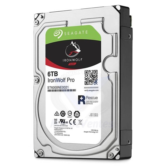 Disque Dur Interne IronWolf Pro 6 To 3.5" 256 Mo SATA III ST6000NE0021