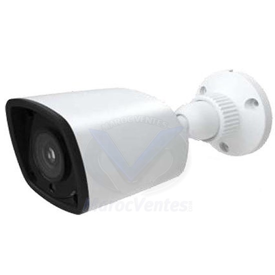Caméra 2MP 3.6mm Etanche TD-7421TS