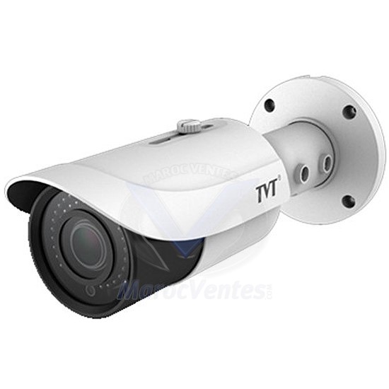 Caméra analogique  2MP TVI Etanche VF 2.8-12MM TD-7423TE2