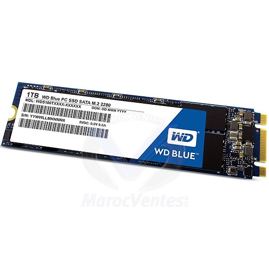 Disque Interne 2.5 " SSD 3D NAND SATA 1To  M.2 2280 M.2 2280 SATA 6Gb/s WDS100T2B0B