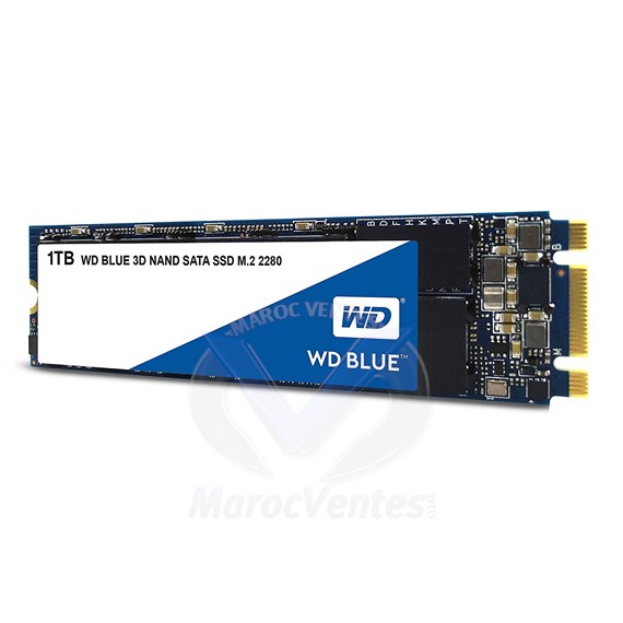 Disque Interne 2.5" SSD 3D NAND SATA 1 To WDS100T2BOB
