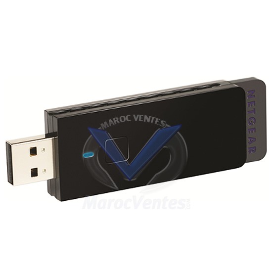Clé USB Wireless N300 300 Mbps WNA3100