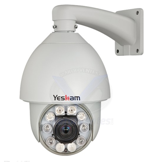 Caméra Dôme 700 TVL CCD PTZ YK-DH6RX-S