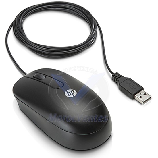 Souris à Molette Optique USB HP QY777AA